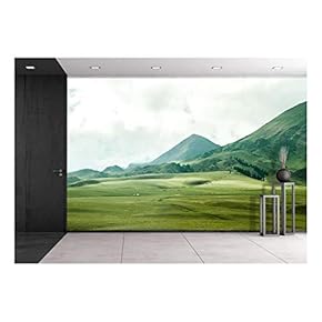 Landscape with Mountain and Grass - Removable Wall Mural | Self-Adhesive Large Wallpaper - 66x96 inches