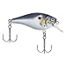 Berkley Pitbull 5.5 Fishing Bait