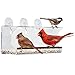 Tranquil Outdoors Large Acrylic Window Bird Feeder: Strong Removable Suction Cup Mounted Outdoor Bird House Feeder, Clear Birdfeeders for Large & Small Birds. Best See Thru Feeder for Bird Watching