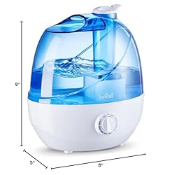 Cool Mist Humidifiers for Bedroom & Large Room