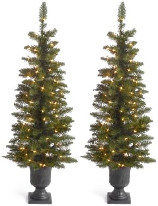 4-Foot Potted Cedar Pine Trees with 100 Clear Lights (Set of 2)