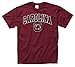South Carolina Gamecocks Arch with Logo T-Shirt