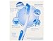 Oral B Oral-b Cross Action Advanced Toothbrush With Bacteria Guard Bristles, 8 Pack,, 8Count ()