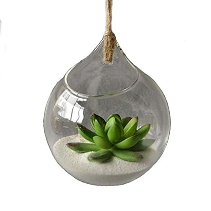 Tea Light Holders Cupcinu Hanging Glass Globe Plant Terrarium Tea