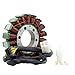 RMSTATOR Replacement for Generator Stator Kawasaki Ninja 250 R 250R 2008-2012 | OEM Repl.# 21003-0074/21003-0114