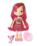 The Bridge Direct Strawberry Shortcake Berry Best Friend Raspberry Torte With Chiffon Fashion Doll, 6-Inch