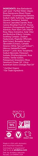 Andalou Naturals 1000 Roses Cleansing Foam, 5.5 Ounce