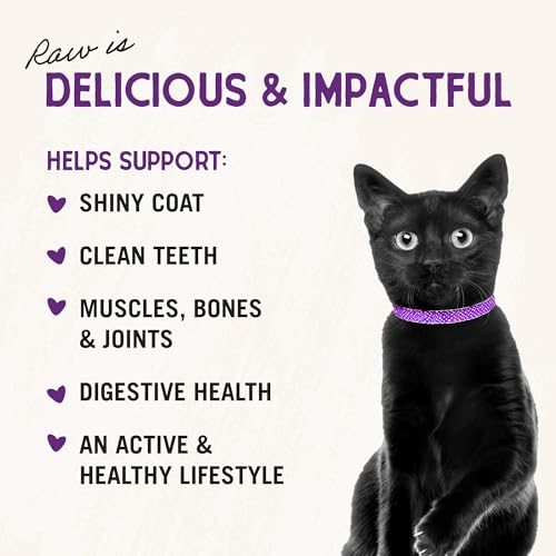 STELLA & CHEWY’S FREEZE-DRIED RAW CAT DINNER MORSELS – PREMIUM TURKEY RECIPE WITH 98% FARM-RAISED MEAT & ORGANS – NATURAL GRAIN-FREE CAT & KITTEN FOOD – MADE IN USA – 3.5 OZ