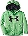 Under Armour Boys 2-7 Favella Big Logo Hoody
