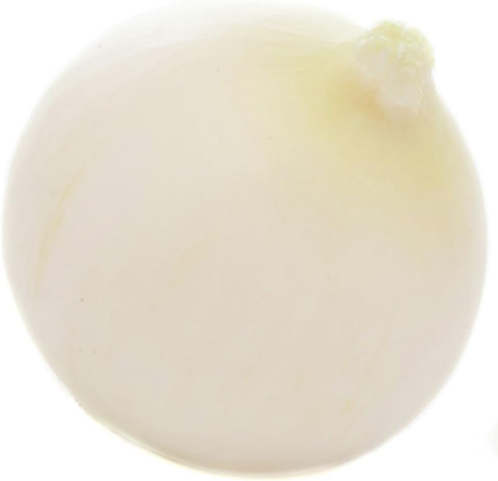 Artificial Onion for Displays White Plastic Replica - 5" L