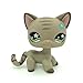 Littlest Pet Shop LPS Gray Short Hair CAT Green Eyes Blue Flower Toy #483