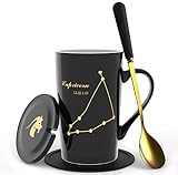 Fullcci-15oz Creative Constellation Capricorn