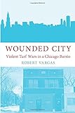 Wounded City: Violent Turf Wars in a Chicago Barrio