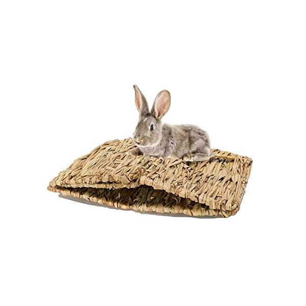 MODEHUAYING-Natural-Seagrass-Mat-Bed-Hideaway-Toy-Hand-Woven-for-Rabbit-Guinea-Pig-Chinchilla-Ferret MODEHUAYING Natural Seagrass Mat Bed Hideaway Toy, Hand Woven for Rabbit Guinea Pig Chinchilla Ferret