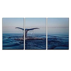 3 Piece Canvas Wall Art - The Whale