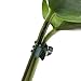 KINGLAKE Orchid & Plant Support Clips - 100 Pcs Dark Green Garden Cymbidium Clips to Keep Stems & Vines Upright