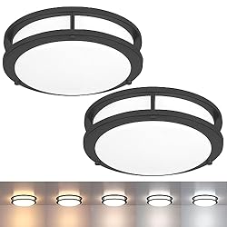 2 Pack Black Ceiling Light, 10.31 Inch LED Ceiling