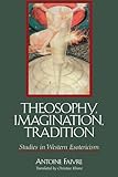 Theosophy, Imagination, Tradition: Studies in Western Esotericism (Suny Series in Western Esoteric T by Antoine Faivre, Christine Rhone