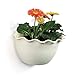 T4U Resin Wall Hanging Planter Beige Small Set of 4, Wave Edge Pottery Style Plastic Flowers Pot for Home Office Garden Porch Wall Decoration Indoor Outdoor Best Giftthumb 1