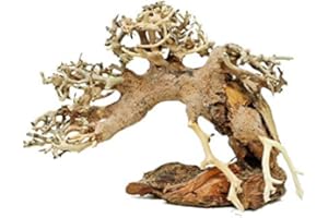 Bonsai Driftwood Small Aquarium Tree ASO Random Pick (4in H x 5in L) Natural, Handcrafted Fish Tank Decoration | Helps Balance Water pH Levels, Stabilizes Environments | Easy to Install