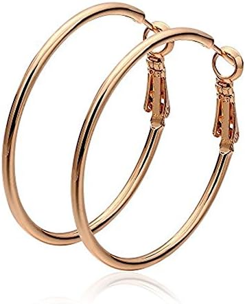 Amazleer Stainless Steel Teardrop Round Hoop Earrings for Women Hypoallergenic (Rose)