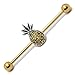 Pierce2GO 14G 38mm Stainless Steel Pineapple Weed Industrial Barbell Ear Piercing Bar 1 1/2