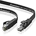 Cat 6 Ethernet Cable Black 10ft (2 Pack)(at a Cat5e Price but Higher Bandwidth) Flat Internet Network Cable - Cat6 Ethernet Patch Cable Short - Cat6 Computer Cable with Snagless RJ45 Connectors primary