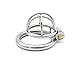 Raycity Male Chastity Cage Device (45mm Ring) 117