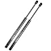 Vepagoo 6328 Front Hood Gas Lift Supports Struts Shocks Springs for 2003-2007 Nissan Murano Set of 2