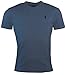 Polo Ralph Lauren Men's Classic Fit V-Neck T-Shirt (Large, BLUE Ocean Heather)