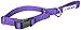 GOGO Pet Products 5/8-Inch Martingale Dog Collar, Small, Purple
