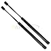 Maxpow 1Pair Front Hood Lift Supports Shocks Struts Compatible With 2000 2001 2002 2003 Maxima 4161