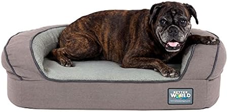 babies king french bulldogs