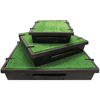 PetSafe Pet Loo Portable Dog Potty, Alternative to Puppy Pads, Medium