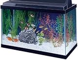 All Glass Aquarium AAG10015 Tank Black, 15-Gallon