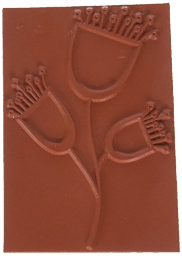 Darkroom Door Springtime Sprouts Cling Stamp 4.5"X3"