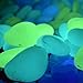 Glow Roxx - 100 Pcs (Blue) of Glow in the Dark Rocks Perfect Accent Pebbles for your Driveway, Pathway, Wedding Favors and Decorative Fairy Garden - As seen on Pinterest and Instagram …