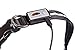 Blazin Light Up Dog Collar - The Original LED Dog Collar - USB Rechargeable - Waterproof - 1,000 Feet of Visibility - Dog Collar Light for Small, Medium, Large Dogs - USA Brand