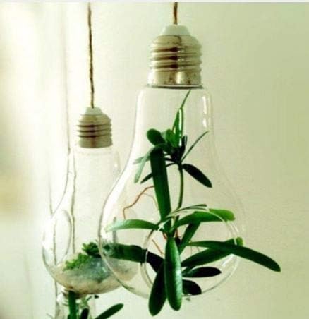 Urdhva Retail Glass Vase Hanging Bottle Terrarium Bulb Lamp Shape (1,Pack)