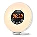 INLIFE Wake up Light Sunrise Alarm Clock Bright LED Light 7 Changing Colors Night Light  for Heavy Sleepers, with Nature Sounds, FM Radio, Touch Control, Snooze Function