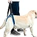 ROZKITCH Pet Dog Support Harness Rear Lifting Harness Veterinarian Approved for Old K9 Helps with Poor Stability, Joint Injuries Elderly and Arthritis ACL Rehabilitation Rehab S Blue