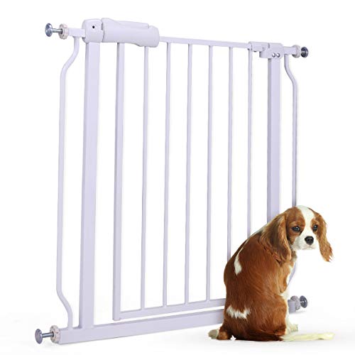 akc walk through gate