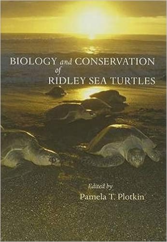Biology And Conservation Of Ridley Sea Turtles Plotkin Pamela T 9780801886119 Amazon Com Books