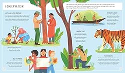 Tiger (Young Zoologist): A First Field Guide to the