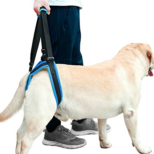 Compare Price hip dysplasia joint harness on