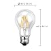 Vintage Edison LED Bulb,CMYK Dimmable 4W A60 Antique LED Bulb 40 Watt Equivalent For Decorate Home,E26,2200K,Warm White Pack of 6