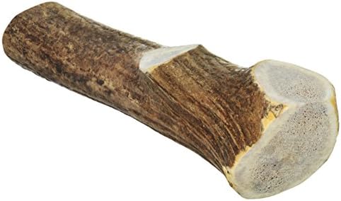 Elk Antler Dog Chew - All Natural - Made in the USA - Long Lasting - Odor Free - Size 7 inches to 9 inches - Naturally shed antlers