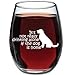 It's Not Really Drinking Alone If The Dog Is Home New | 15 oz Stemless Funny Wine Glass | Unique Gift Idea for Dog Mom, Dog Dad, Men, Women, Veterinarian | Birthday Present for Dog Lovers