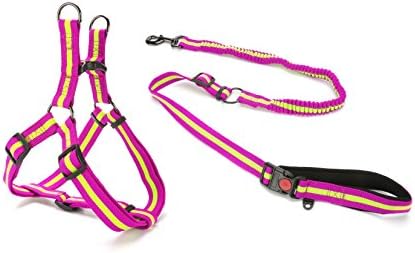 DoggieKit Pull-Proof Dog Leash &amp; No-Choke Harness Combination Set, Thick Nylon Ribbon Walking Safety Combo for Small, Medium &amp; Large Dogs (L, Green on Purple)