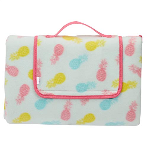 Amazon Basics Picnic Blanket with waterproof backing, 150 x 195 cm